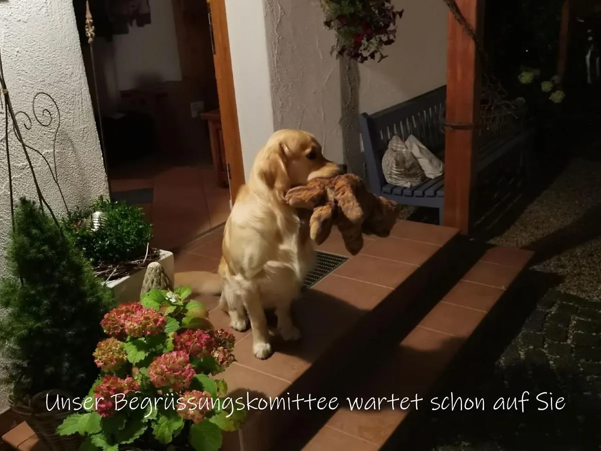 Beste Zeit Ferienwohnung Grassau  0*, Grassau (Bavaria)